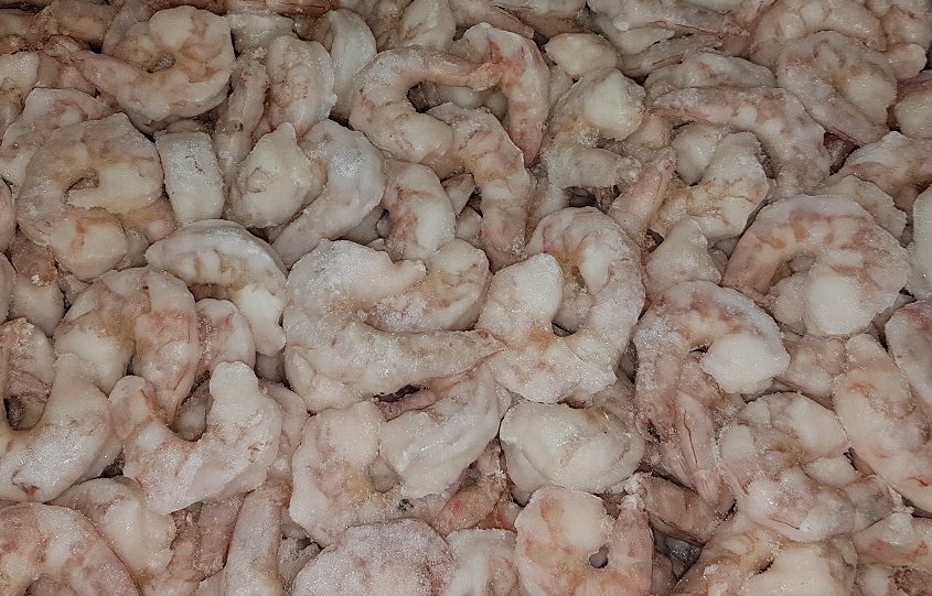 Camaron Shrimp