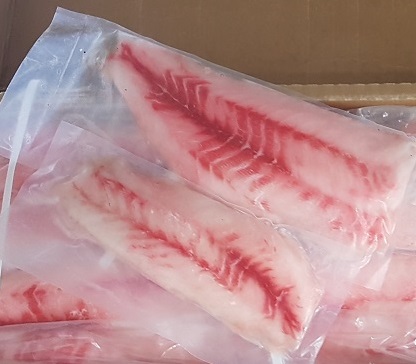 Corvina