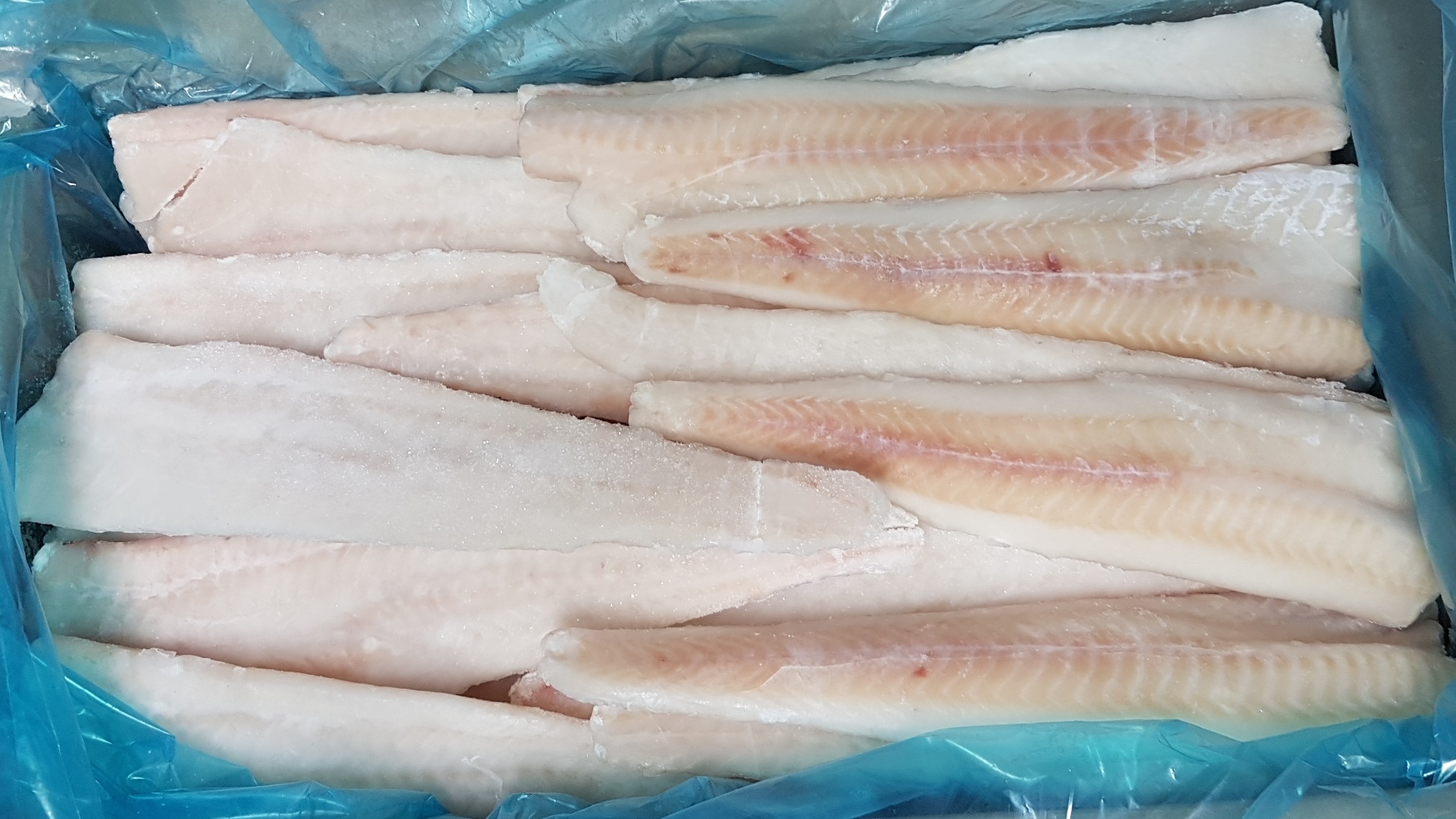 Alaskan Pollock
                abadejo merluza