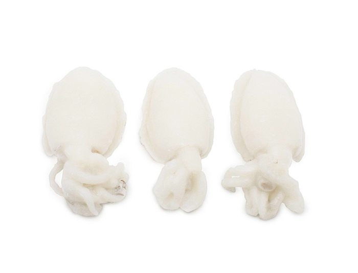 Sepia
                (Cuttlefish)